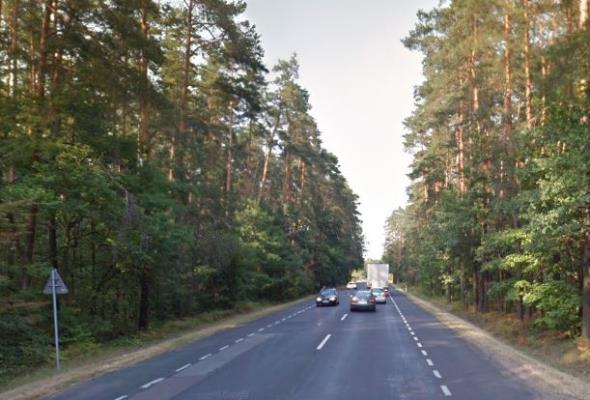 Oczyszczona woda z dróg będzie wykorzystana w lasach 