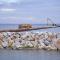 Port Zewnętrzny na Mierzei przyjął pierwszy transport Port Zewnętrzny na Mierzei przyjął pierwszy transport
