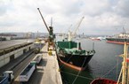 OT Port Gdynia: Duże zmiany struktury ładunków