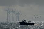 Ważny przetarg dla budowy Morskiej Farmy Wiatrowej Baltic Power