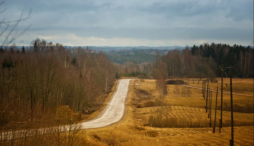 Transport drewna niszczy łotewskie drogi