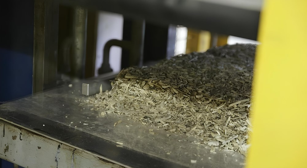 Polscy naukowcy pracują nad materiałami budowlanymi z roślin. Wykorzystają konopie?