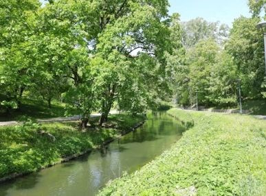 Lubelskie. Wody Polskie planują rozbiórkę jazu na rzece