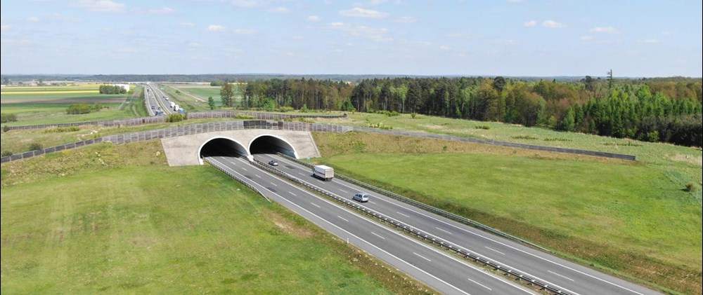 Na S8 koło Oleśnicy jedną jezdnią