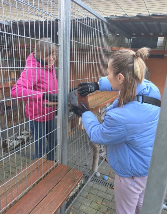 Częstochowa: Wolontariusze Cemex ruszyli wesprzeć schronisko