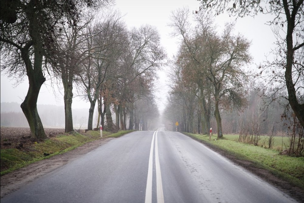 Łódzkie. Będzie modernizacja DW-481