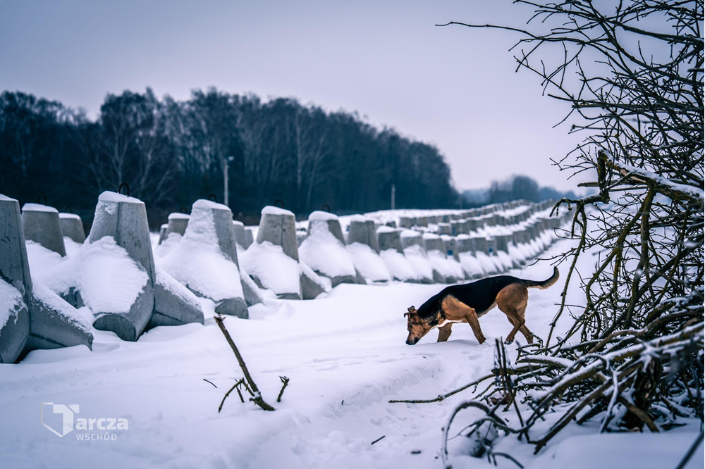 Tarcza Wschód w 2026 roku zabezpieczy ponad 200 km granicy