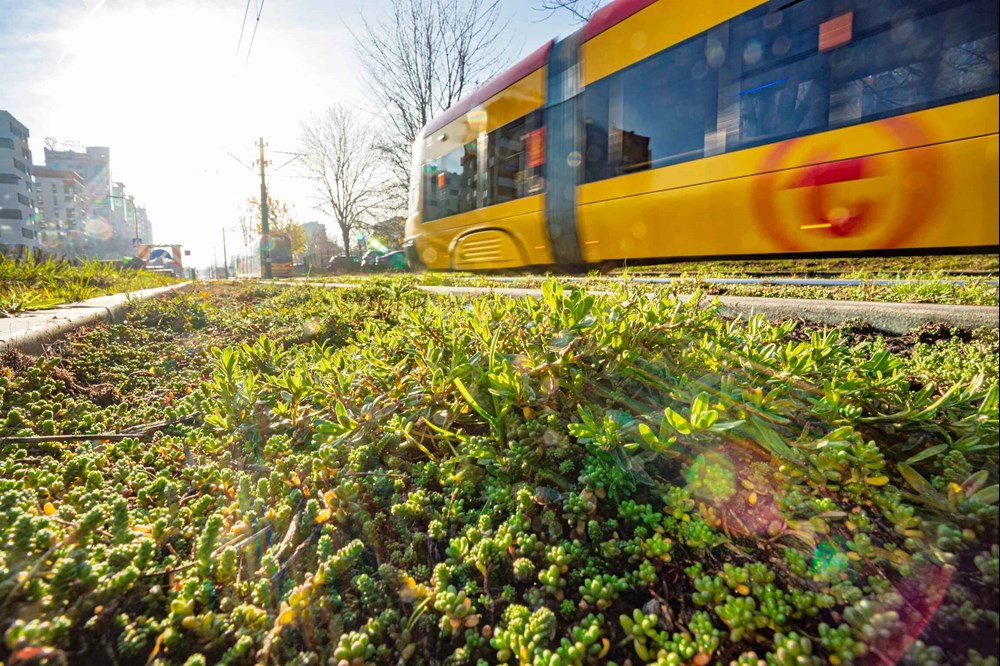 Tramwaje Warszawskie zapowiadają przebudowę trasy do Gocławka