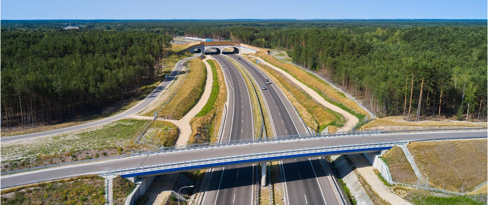 S74. Transprojekt Gdański wybrany do prac przygotowawczych na odcinku Lipnik – Samborzec