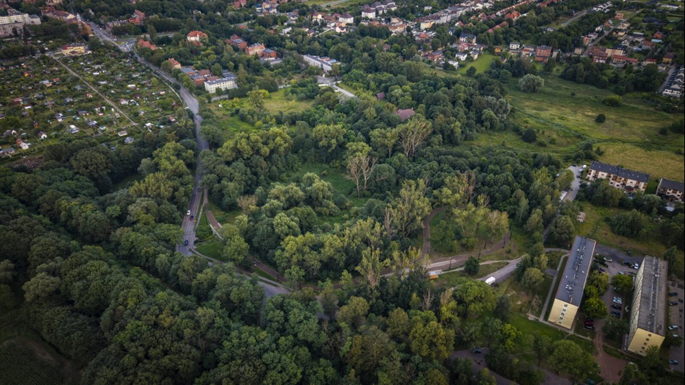 Zabrze bliżej rozbudowy układu drogowego w północnej części miasta