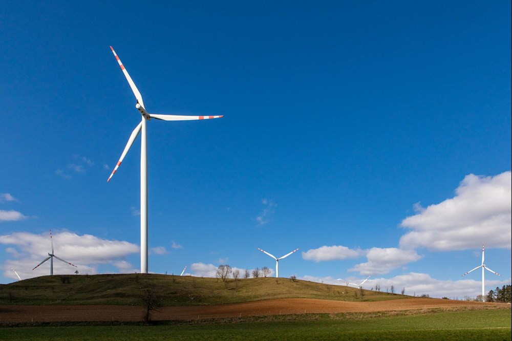 Samorządy stawiają na zieloną energię