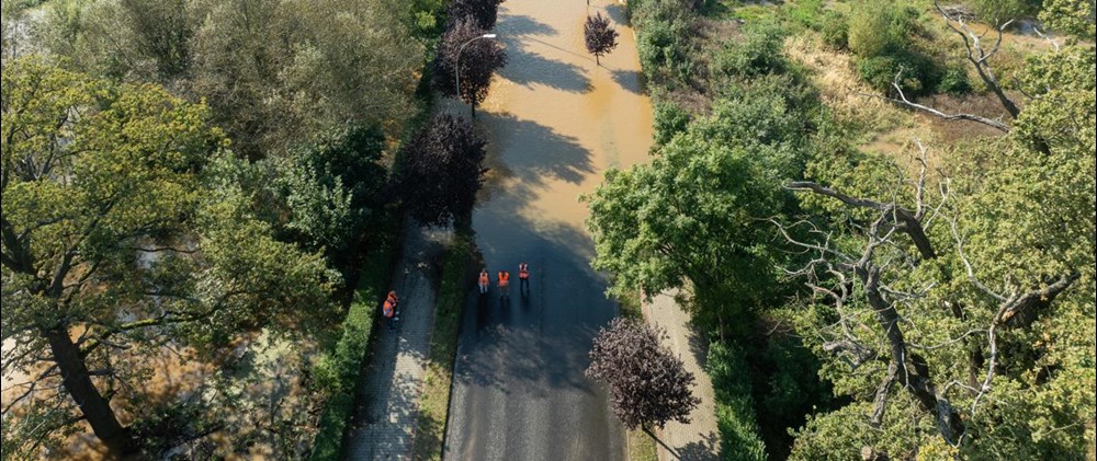 Poprawią drogę nr 12 ze Szprotawy do Wiechlic
