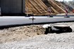 Budowa dróg z betonu napędzi sprzedaż maszyn budowlanych?