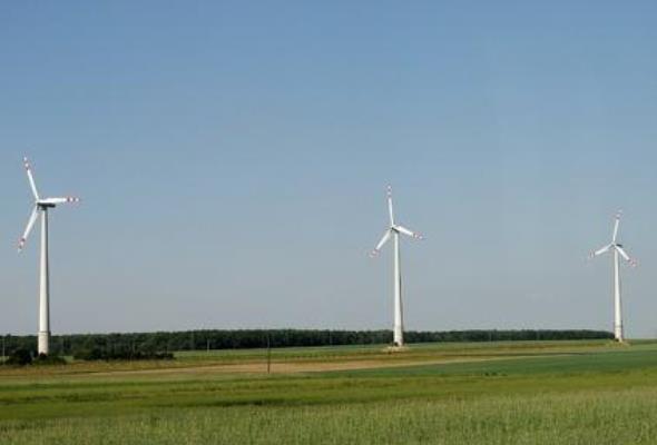 Google: czas na energię wiatrową 