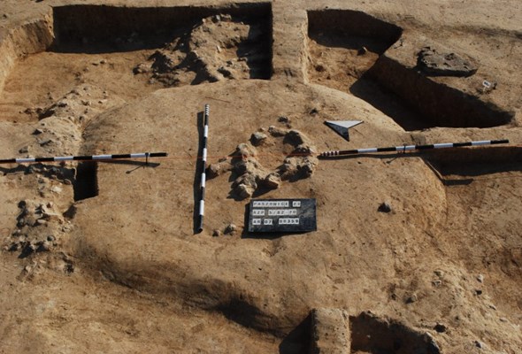S3 Legnica – Bolków: Archeolodzy mają ciekawe znalezisko 