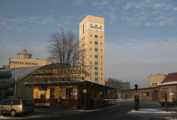 Tauron zainteresowany Kopalnią Brzeszcze