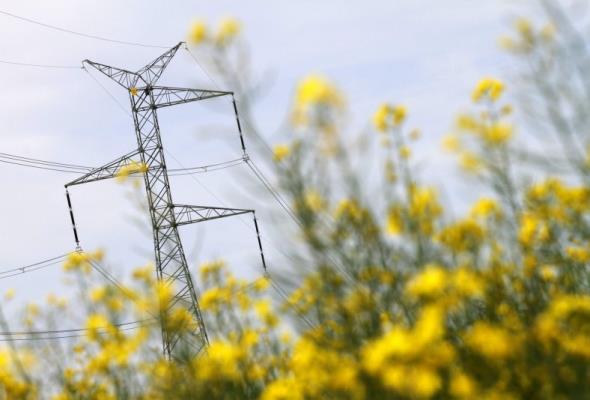 Most energetyczny Polska - Litwa będzie zakończony w terminie